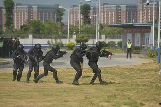 广西公安局最新爆料,揭秘重大案件侦破背后的故事