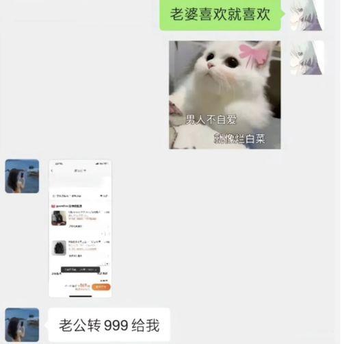 胖猫姐姐最新爆料,娱乐圈最新爆料大揭秘！