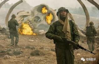 骷髅岛在线观看,惊悚探险之旅